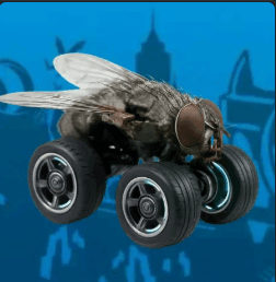 FLYWHEEL logo
